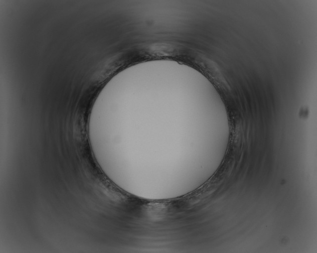 X0000089360418200707131619
