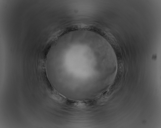 X0000089360419200707131619