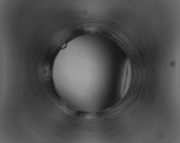 X0000089360420200707131619