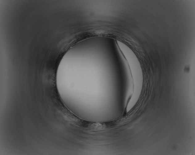 X0000089360421200707131619