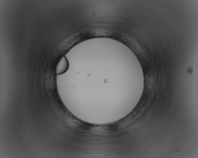 X0000089360422200707131619