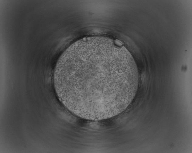 X0000089360423200707131619