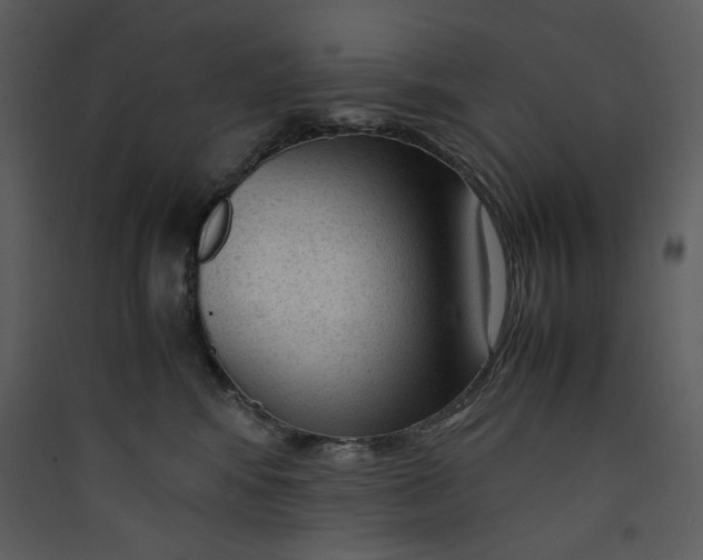 X0000089360424200707131619