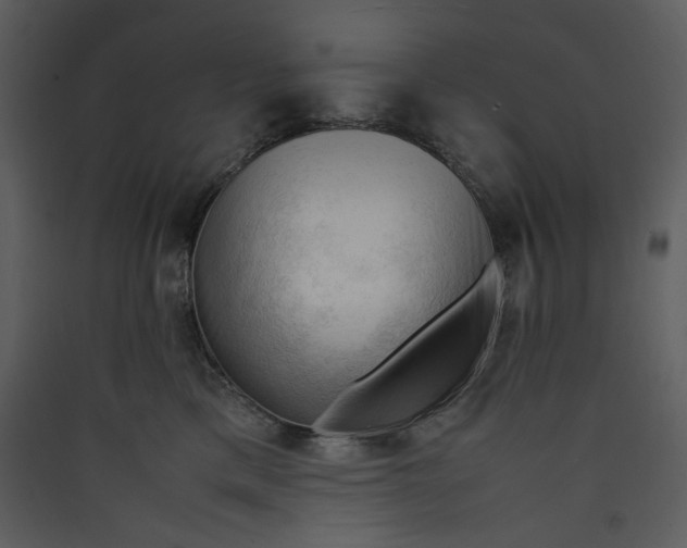 X0000089360425200707131619
