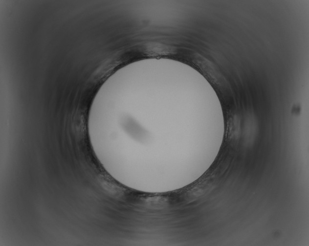 X0000089360426200707131619