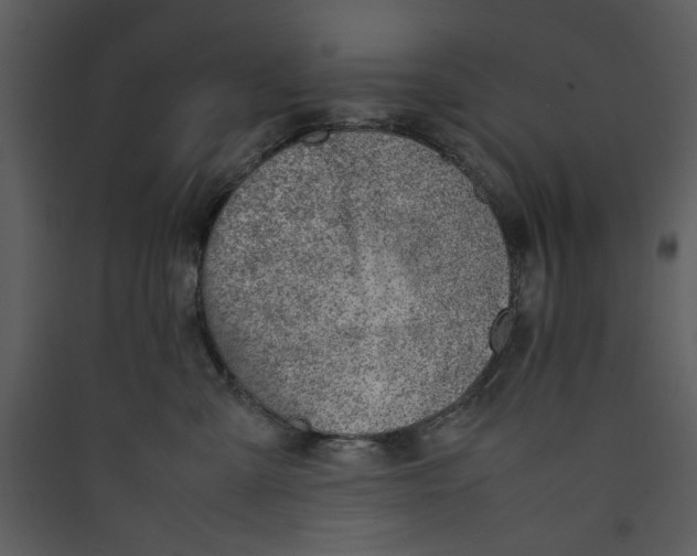 X0000089360427200707131619