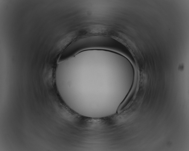 X0000089360428200707131619