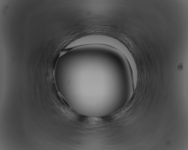 X0000089360429200707131619