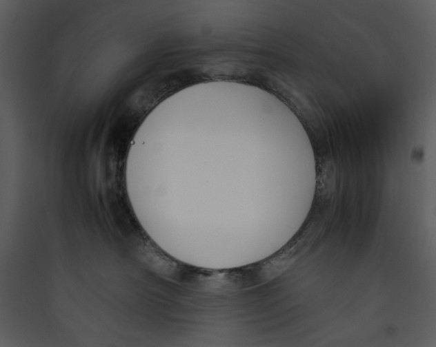 X0000089360430200707131619