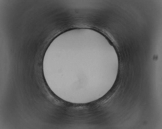 X0000089360433200707131618