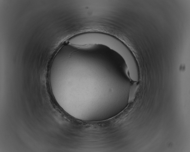 X0000089360434200707131618