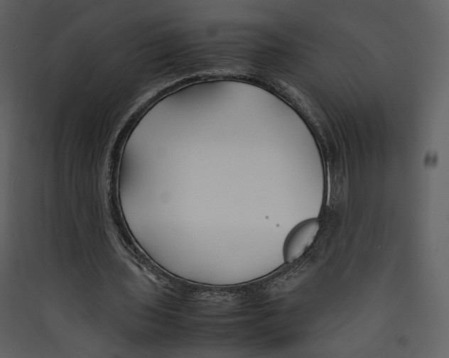 X0000089360435200707131618