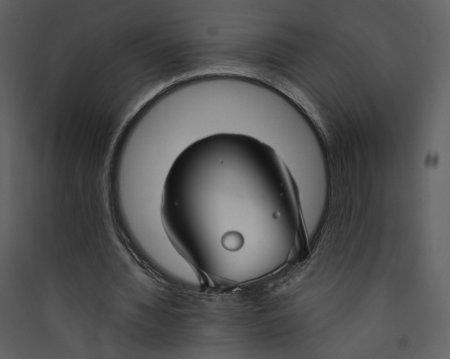 X0000089360436200707131618