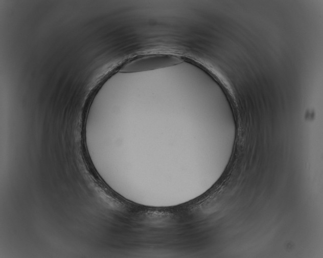 X0000089360437200707131618