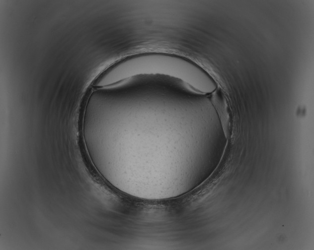 X0000089360438200707131618