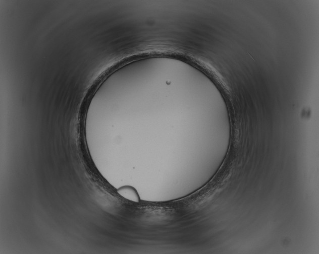X0000089360439200707131618