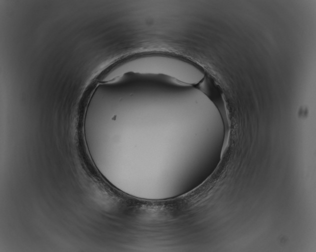 X0000089360440200707131618