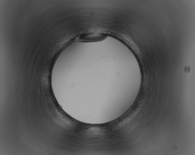 X0000089360441200707131618