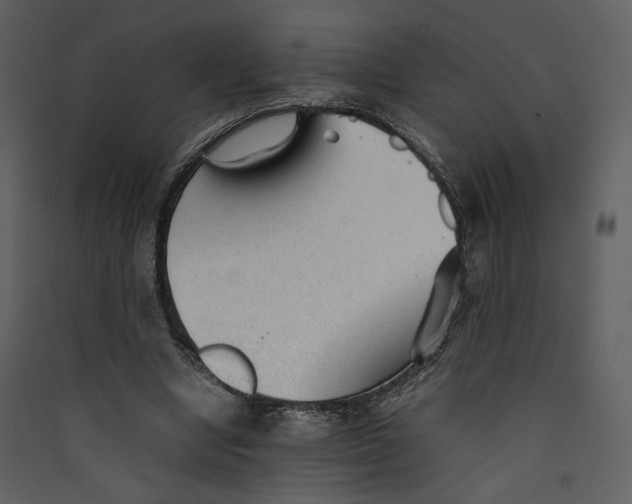 X0000089360442200707131618