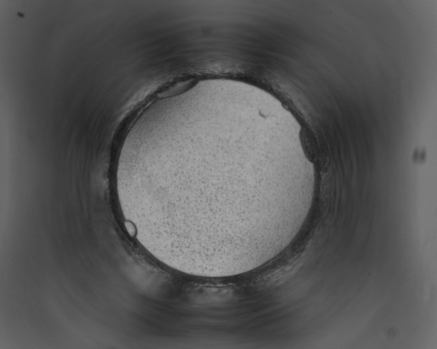X0000089360443200707131618