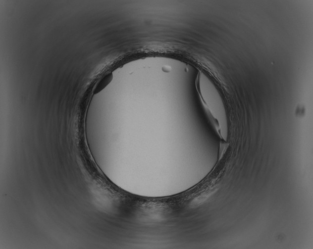 X0000089360444200707131618