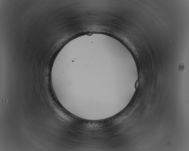 X0000089360445200707131618