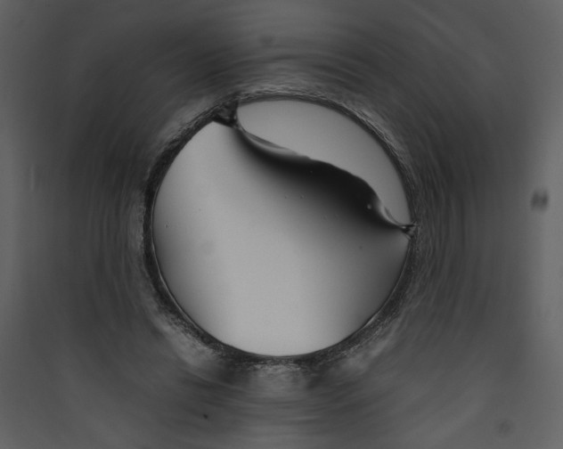 X0000089360446200707131618
