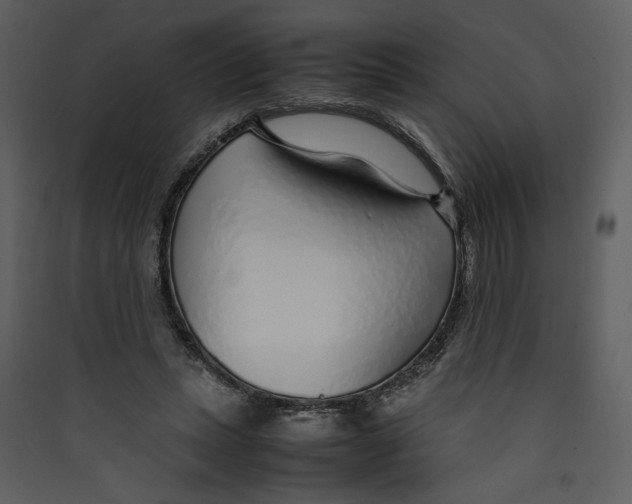 X0000089360447200707131618