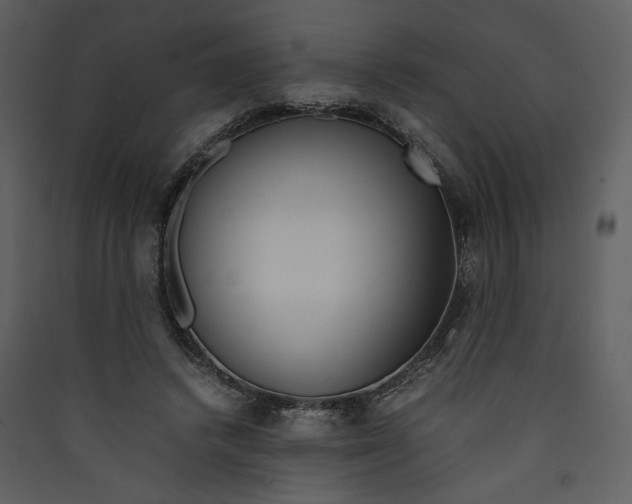 X0000089360448200707131618