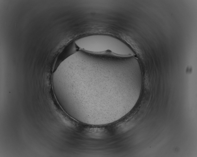 X0000089360449200707131618