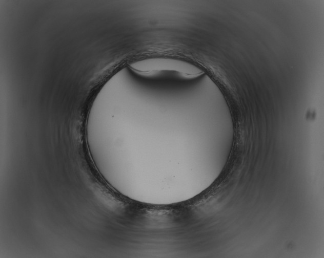 X0000089360450200707131618