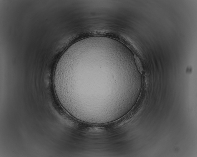 X0000089360451200707131618