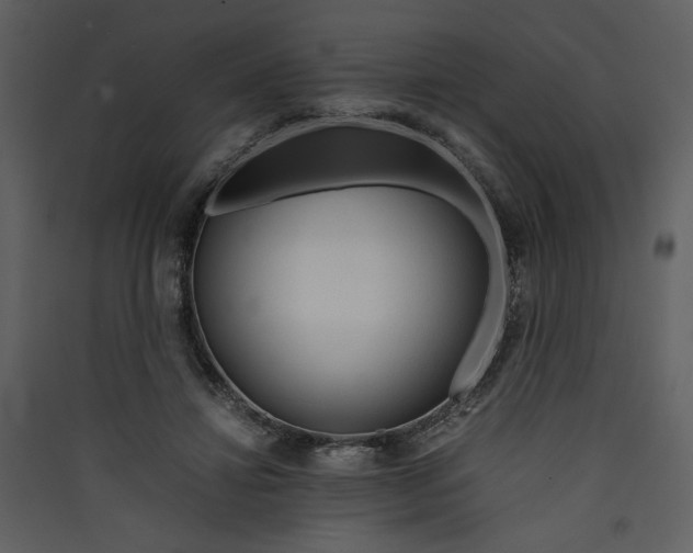 X0000089360452200707131618