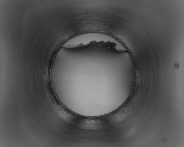 X0000089360453200707131618