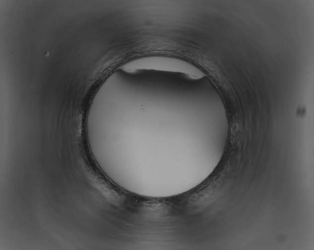 X0000089360454200707131618