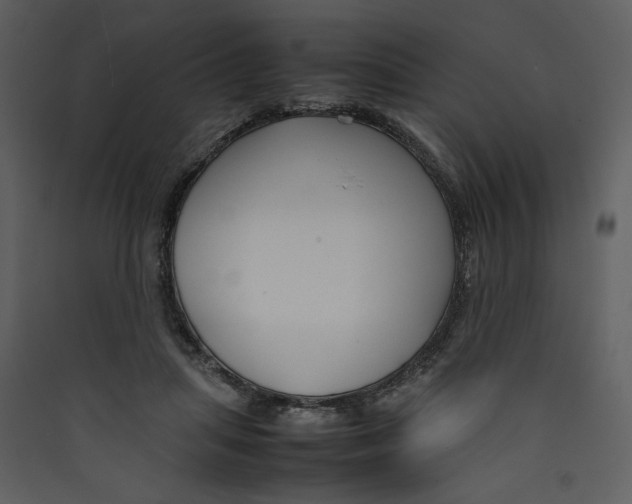 X0000089360455200707131618