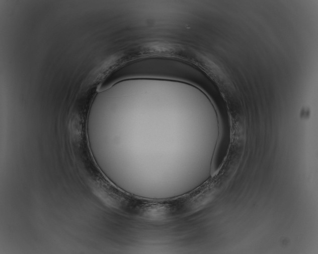X0000089360456200707131618