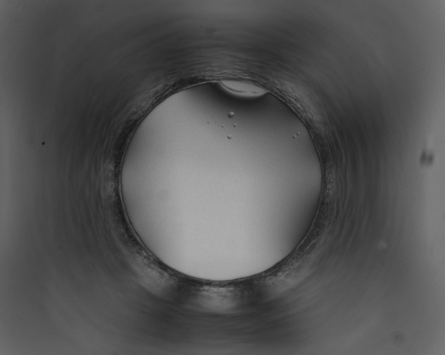 X0000089360457200707131618