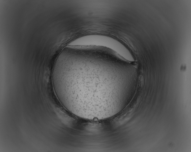 X0000089360458200707131618