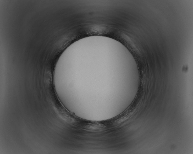 X0000089360459200707131618