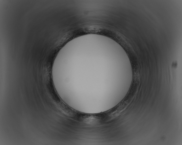 X0000089360460200707131618