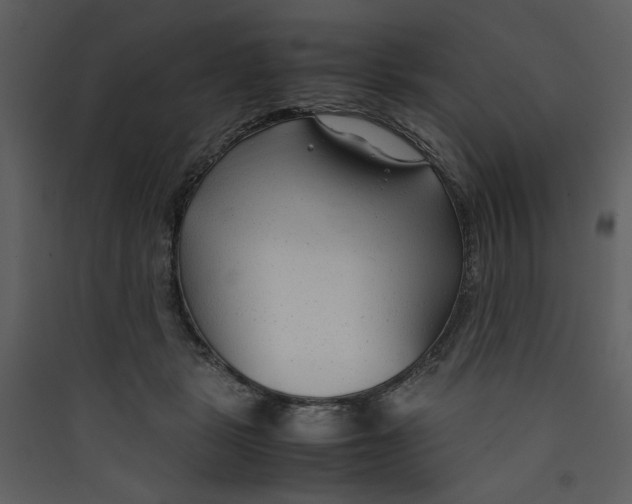 X0000089360461200707131618