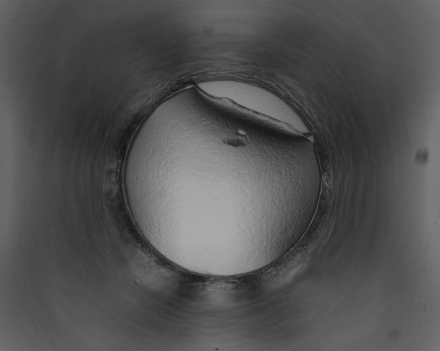 X0000089360462200707131618