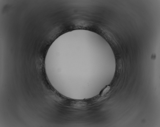 X0000089360463200707131618