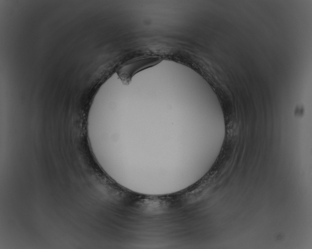 X0000089360464200707131618
