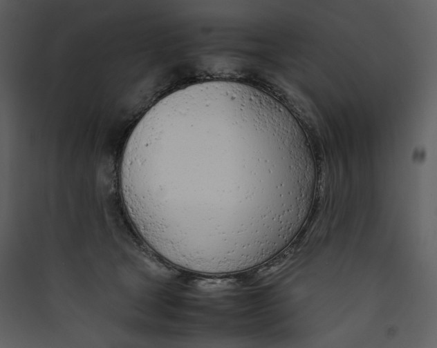 X0000089360465200707131618