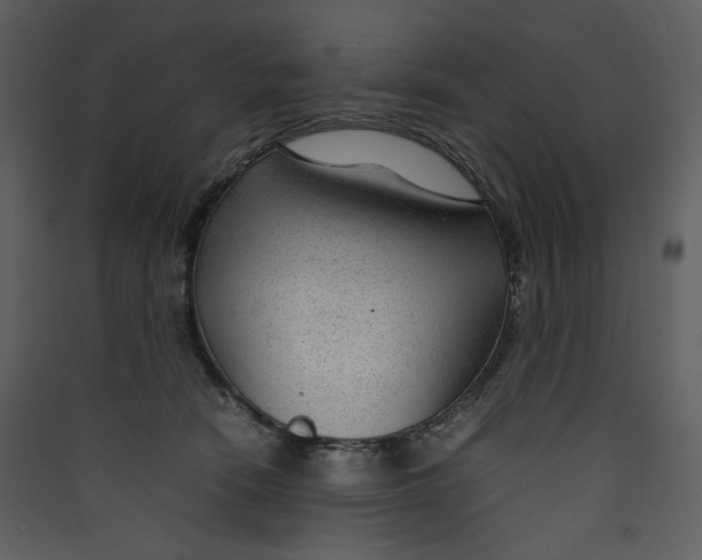 X0000089360466200707131618