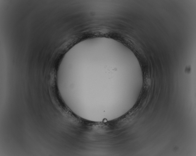 X0000089360468200707131618
