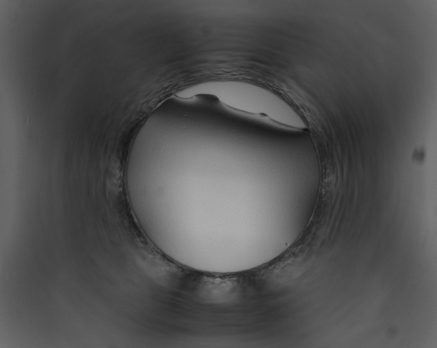 X0000089360469200707131618