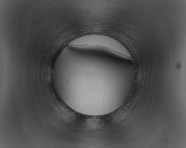 X0000089360470200707131618
